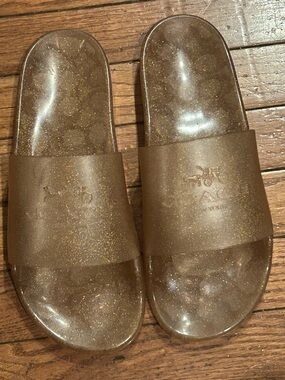 Coach Glitter Jelly Slide Sandals in Sparkling Brown size 10